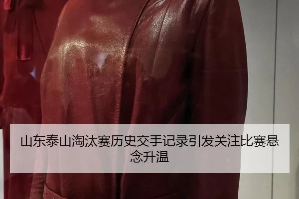 shan-dong-tai-shan-tao-tai-sai-li-shi-jiao-shou-ji-lu-yin-fa-guan-zhu-bi-sai-xuan-nian-sheng-wen-2-837.jpg